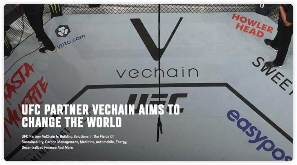 VeChain Partnership