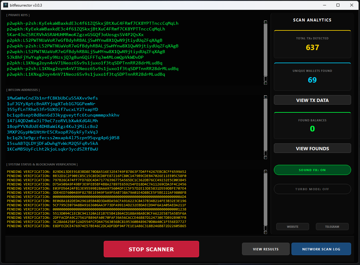 BitResurrector software interface
