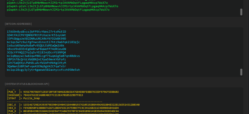 Bitcoin Private Key Finder - BTC Hunter