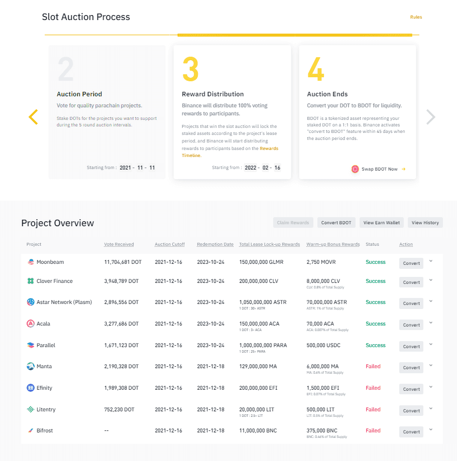 Binance DOT Auction