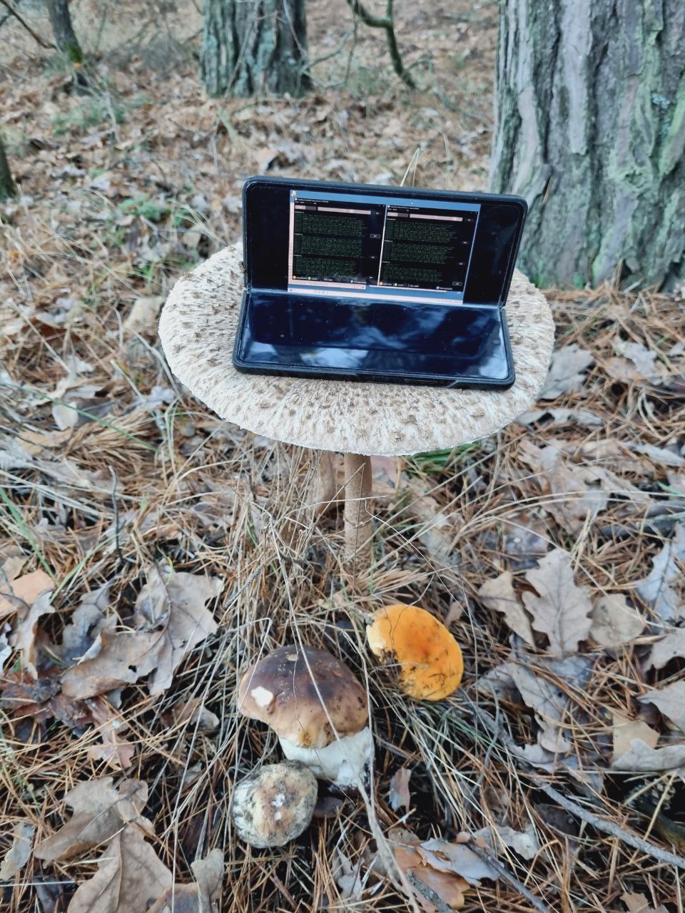 Remote monitoring example 3
